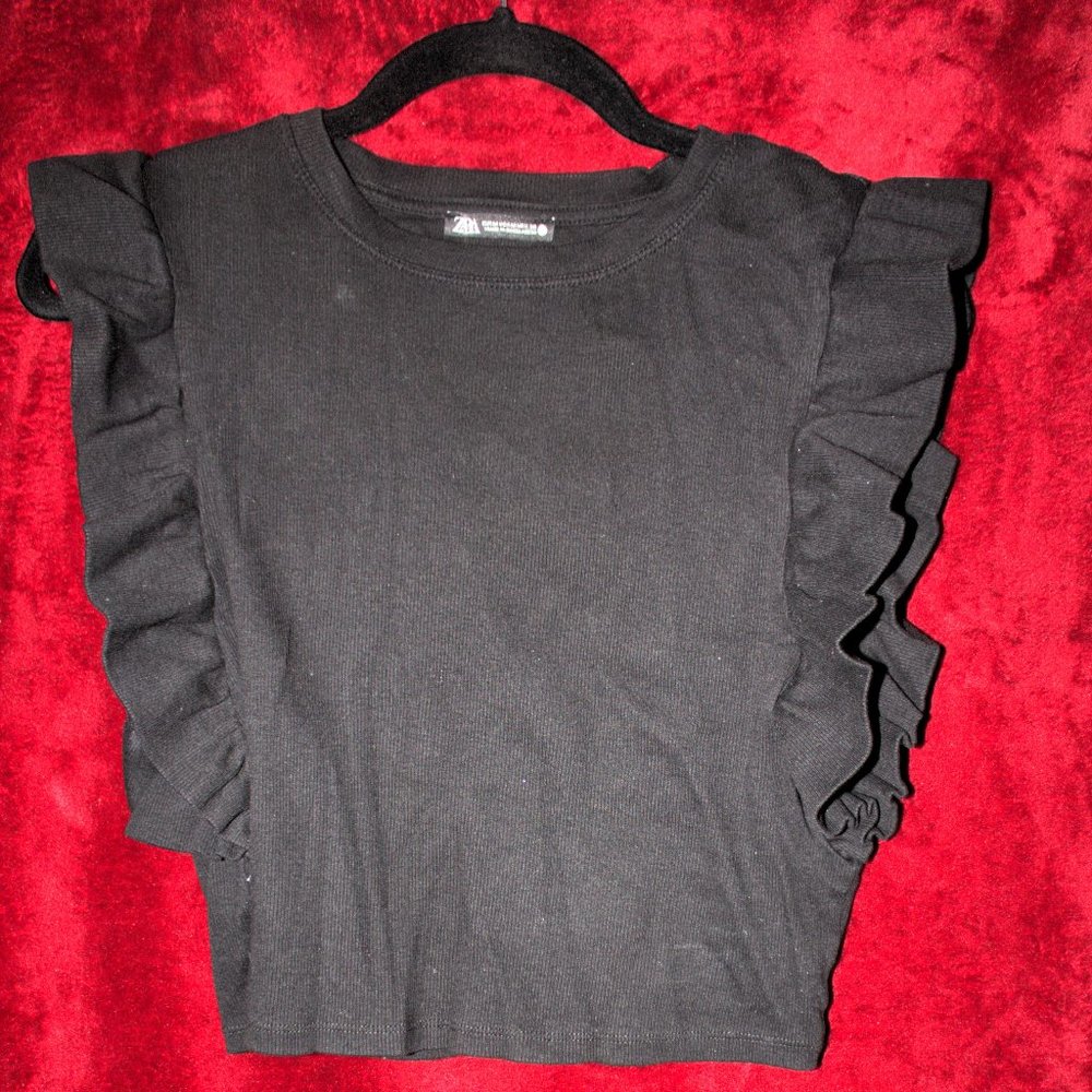 Zara Knit Top with Ruffle Sleeves